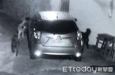 3汪星人半夜「拆車」狂啃輪胎 車主哀怨:端午出遊計畫毀了