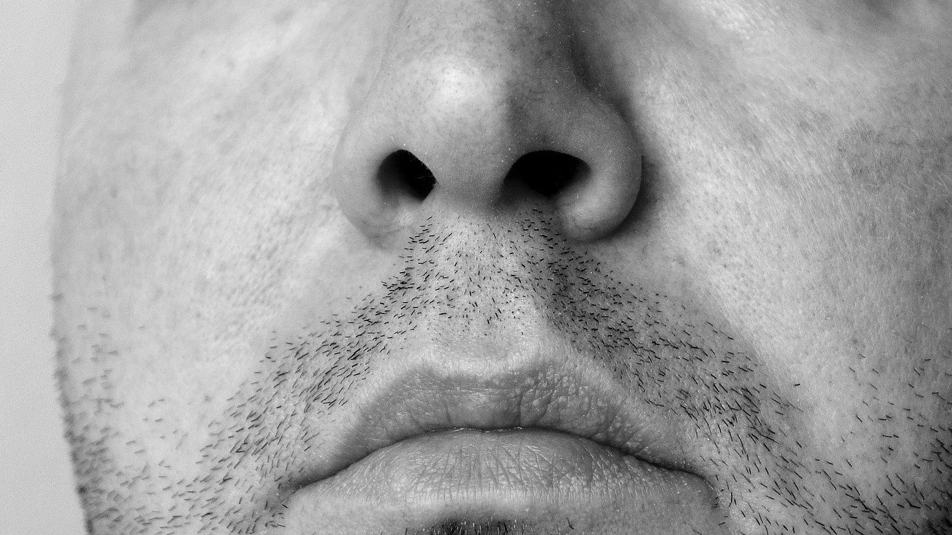 ▲▼ 男人,男性,鼻子,鼻孔。（圖／取自免費圖庫pixabay）