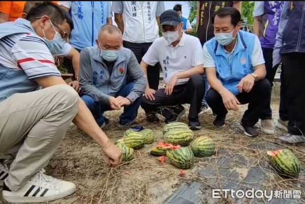 ▲▼徐耀昌「出關」視察農災　過來人經驗：高粱殺病毒攏是假a。（圖／記者陳凱力翻攝）