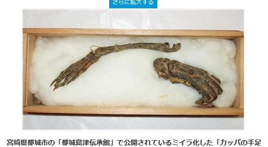 日本宫崎展出「河童的手足」 真的假的看了才知道