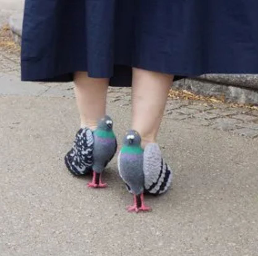 ▲▼鴿子高跟鞋。（圖／翻攝自推特／@dailyportalz）