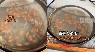 寵物蝦放陽台忘了顧　她隔天想起來「整鍋已熟了」