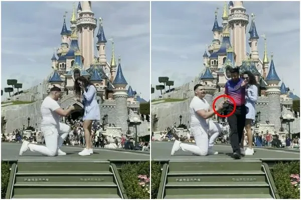 ▲▼巴黎迪士尼員工硬生生打斷求婚場面。（圖／翻攝Reddit）