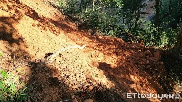 ▲▼苗栗火炎山梅雨季登山步道崩塌。（圖／記者蔡文淵翻攝）