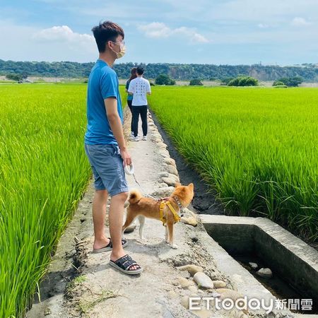 ▲▼看到大片農田...貪玩拒否柴「四輪鎖死」求玩泥巴　飼主無奈抱走。（圖／IG@rice _ear_dog0110）