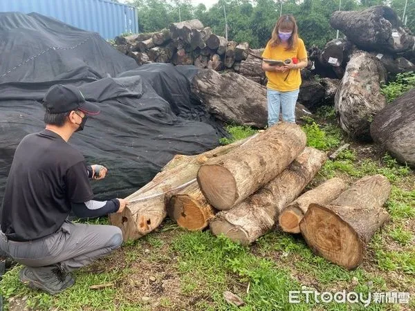 ▲保七總隊第8大隊會同高雄市警方逮獲江男涉嫌盜竊柚木             。（圖／記者陳崑福翻攝，下同）
