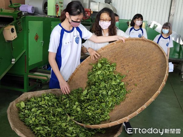 ▲水里商工觀光科學生赴竹山茶廠實地製茶，也了解茶文化。（圖／竹山鎮公所提供，下同）
