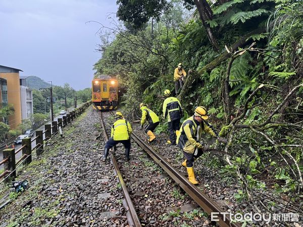 ▲▼台鐵平溪線有路樹倒塌撞破火車玻璃。（圖／記者郭世賢翻攝）