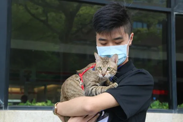 ▲▼弘光科大調查發現，去年全台寵物相關銷售額高達438億元，不但飼主變多，毛小孩也變胖了。（圖／弘光科大提供，下同）