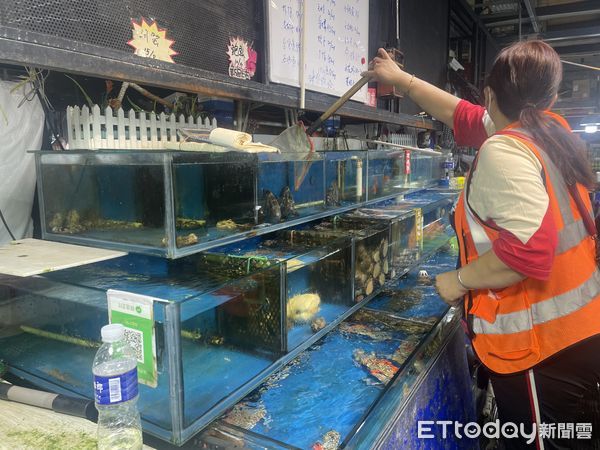 ▲▼  石斑魚,北京菜市場,水產,賣魚 。（圖／記者蔡儀潔攝）