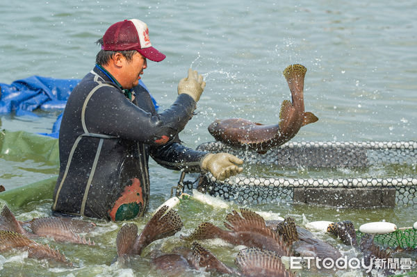 ▲饗魚樂」經營者陳建志、潘瓊惠夫婦，追求卓越的品質。             。（圖／記者陳崑福翻攝，下同）