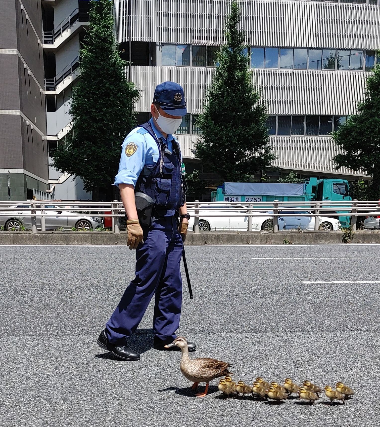 ▲▼警察護送鴨媽媽和10個孩子過馬路。（圖／翻攝自twitter／@joycooonote）