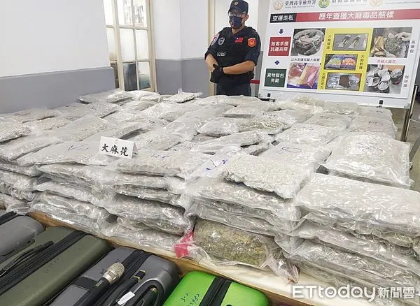 ▲航警局今年4月間查獲4名台籍旅客從加拿大入境桃機，行李被查出夾帶二級毒品大麻花，總計查獲137公斤，為桃機歷來最大宗運毒案。（圖／記者沈繼昌翻攝）