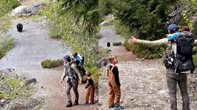 牽3幼子登山遭黑熊一路尾隨！扔石喊叫趕不走　網紅夫妻全程作為獲讚機智父母