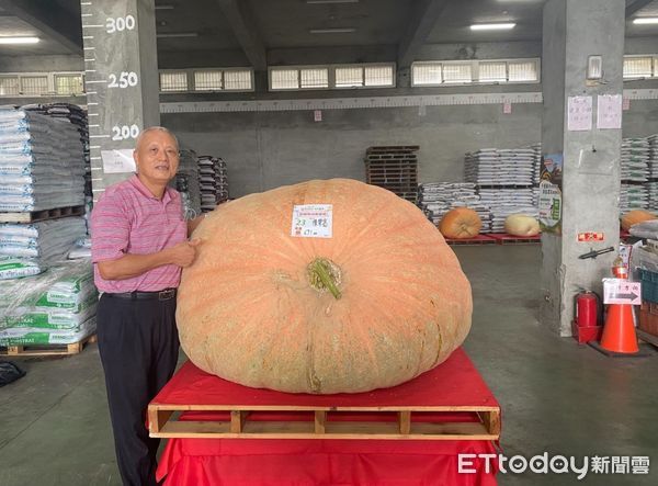 ▲▼ 0618南瓜 。（圖／記者戴上容翻攝）