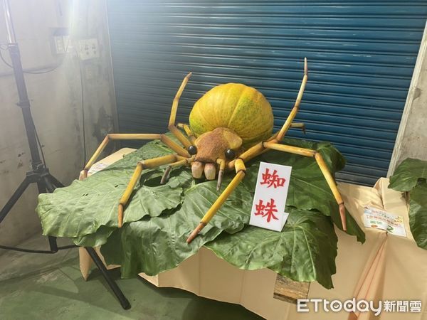 ▲▼ 0618南瓜 。（圖／記者戴上容翻攝）