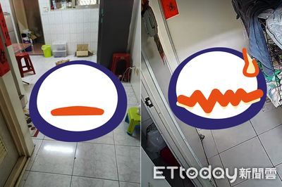 回家發現「鯊鯊倒地慘死」　她調監視器見「棄屍過程」傻眼