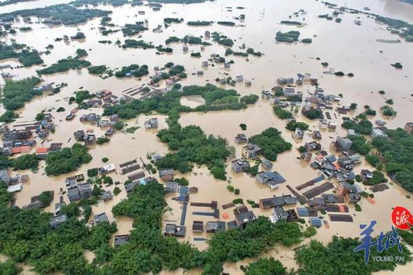 ▲廣東暴雨致洪水，部分村鎮全泡在水裡。（圖／翻攝微博）