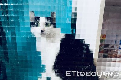 開門忽見「8bit鬍子貓」瞪眼凝視 低解析度照片笑翻網:出NFT!