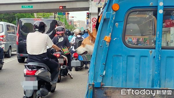 ▲▼貨車旁被偷親！她怒拍照存證　「豬哥駕駛」猥瑣賊笑：妹子上車啊。（圖／網友千千提供）