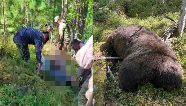 要死一起死！　獵人射殺野熊反被「壓碎頭骨」爛臉慘死畫面曝光。（圖／翻攝自Twitter）