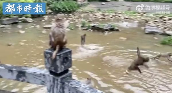 ▲廣西桂林暴雨。（圖／翻攝微博）