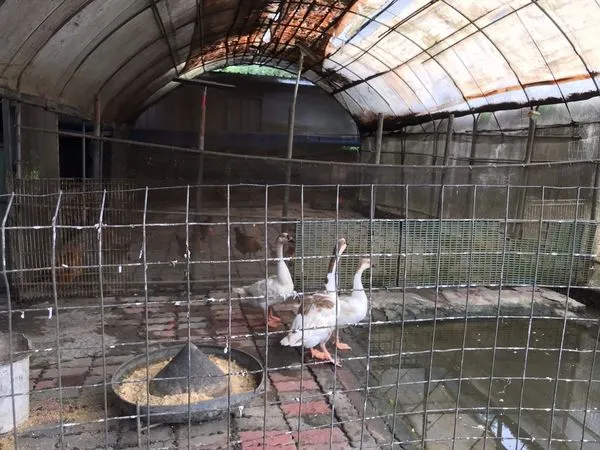 頂新和德助社福團體永續發展 食公益捐助計畫即起徵件（圖／頂新和德文教基金會提供）