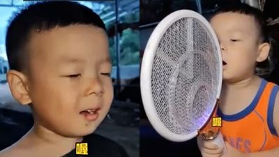 3歲童「哦～」一聲召喚大量蚊子飛來！村民狂讚是超能力　專家闢謠了