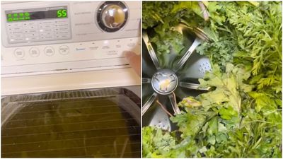 她做生菜沙拉「蔬菜先丟洗衣機攪」　網一面倒搖頭嗆：超不衛生