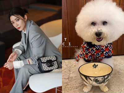 賈靜雯愛犬穿Gucci、用2萬寵物碗　王淨讚「是麻豆」