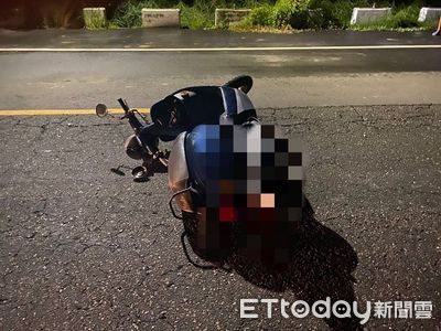 狗狗突竄出遭撞死!台南女騎士摔成重傷 動保處持續捕獲3浪犬