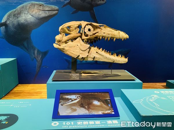 ▲▼國立臺灣博物館推出「水怪－水棲爬行動物化石展」。（圖／記者林育綾攝）