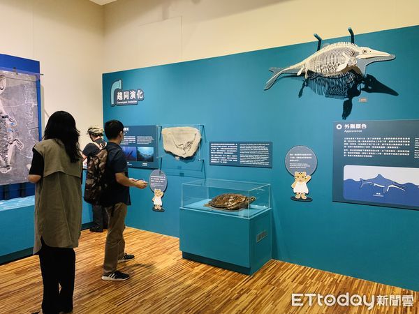 ▲▼國立臺灣博物館推出「水怪－水棲爬行動物化石展」。（圖／記者林育綾攝）