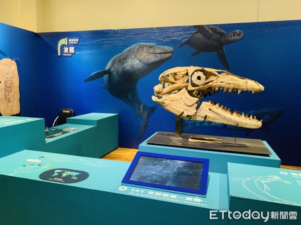 ▲▼國立臺灣博物館推出「水怪－水棲爬行動物化石展」。（圖／記者林育綾攝）