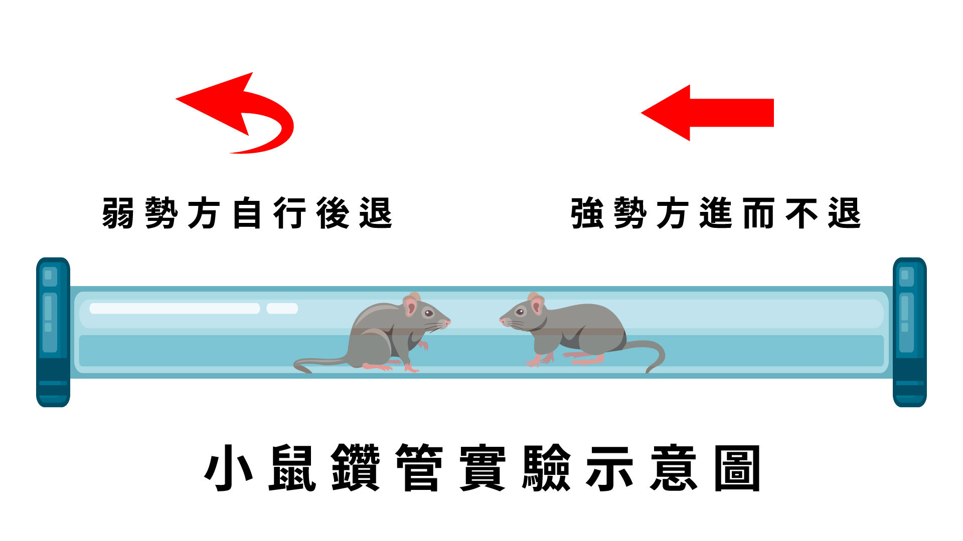 ▲▼清大跨物種研究發現，幼兒勝負決定在誰先放棄。（圖／清大提供）