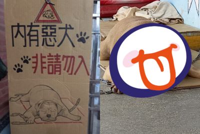 看板寫內有惡犬勿入　本尊趴地憨睡「溢出大坨肉」網笑：有開美肌