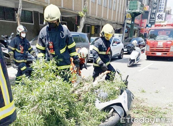 ▲桃園市莊姓男子30日上午10時許駕駛大貨車行經桃園區三民路二段時，不慎撞倒約10公尺路樹，桃園警方與消防人員現場處理。（圖／記者沈繼昌翻攝）