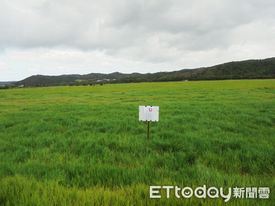 蜘蛛機器人100元還有無人機　屏東執行分署7／5法拍歡迎投標