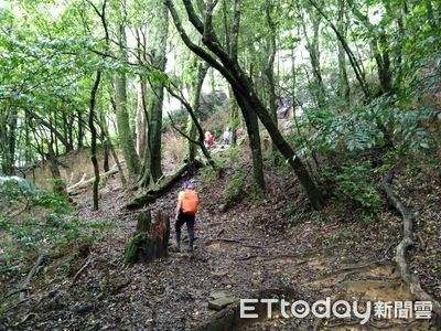 加里山迷魂陣現場曝！神秘9號樁如「百慕達」　3年41人險消失