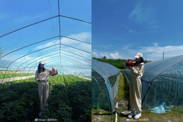 ▲迪麗熱巴在微博分享採草莓照。（圖／翻攝自微博／Dear-迪麗熱巴）