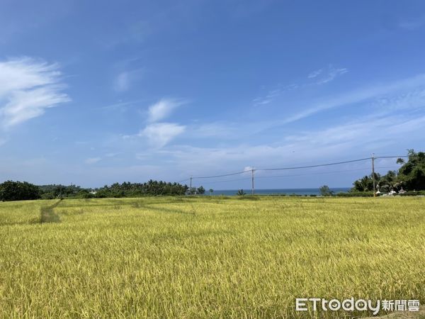 ▲▼台東長濱 宏成蝸牛農場。（圖／記者周姈姈攝）