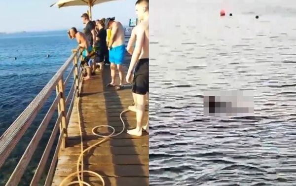 救生員掛保證「絕對沒有鯊魚」　15分鐘後女被咬斷手腳爆血斃命。 (圖／翻攝自Twitter）