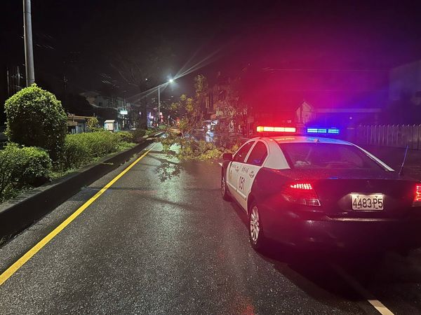 ▲▼台中市多處因連日強降雨造成路樹倒塌、山坡落石意外。（圖／記者哈勇嘎奧翻攝）