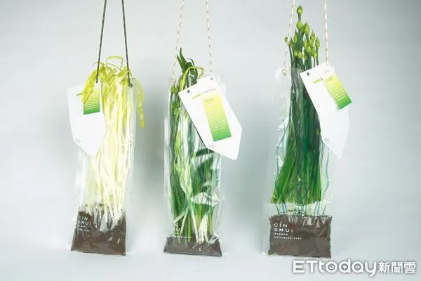 ▲嶺東科大傳捷報，榮獲2022紅點概念設計大獎肯定。（圖／記者游瓊華翻攝）