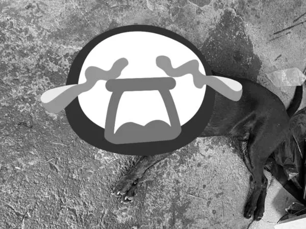 ▲台南市龍崎區大坪里傳出毒狗事件，網友自扮柯南，自調監視器找到疑似涉案人事證，報請台南市動保處查處。（圖／翻攝自臉書歸仁大小事，下同）