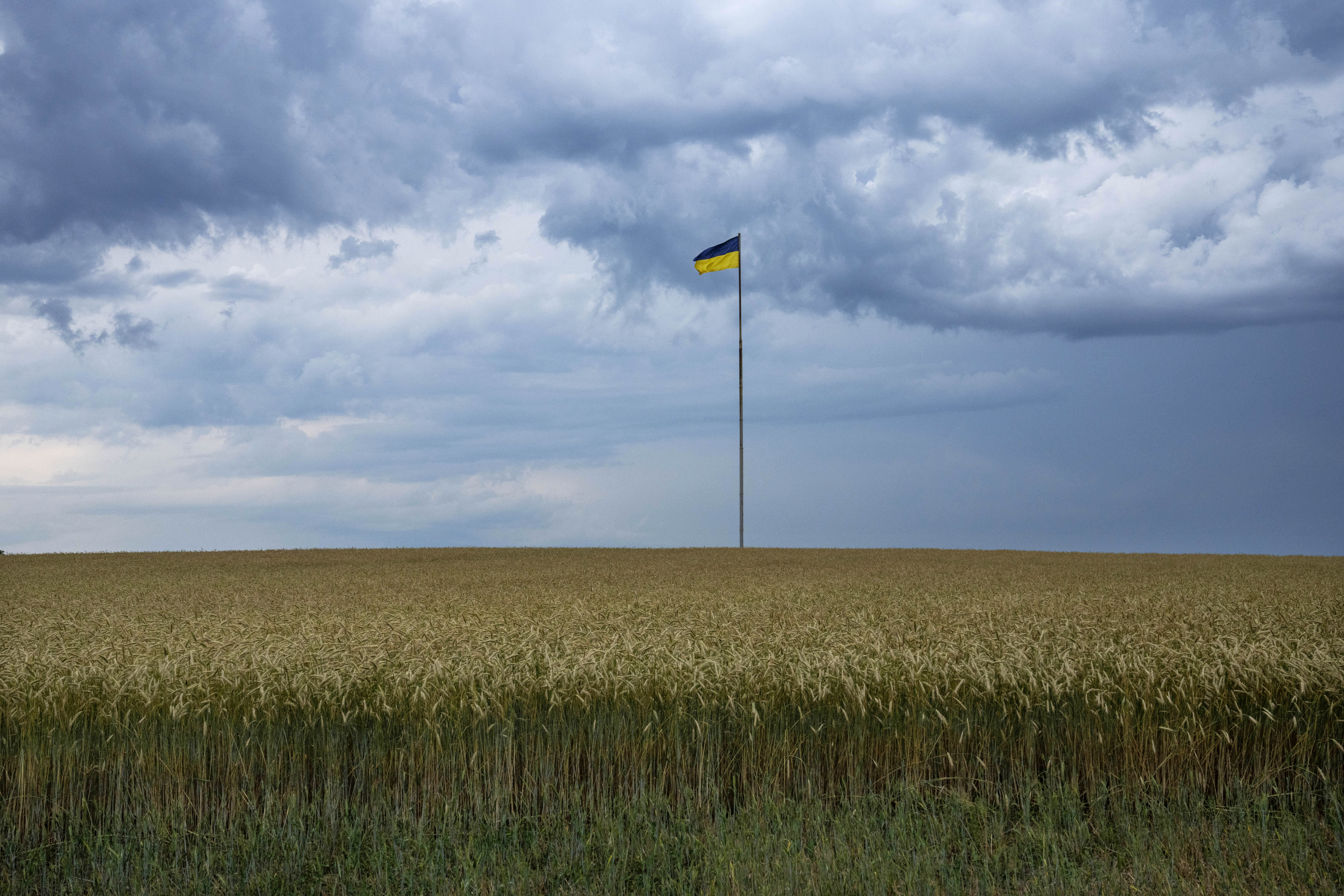 ▲▼雖然在戰爭期間，烏克蘭小麥收成仍高於預期。（圖／達志影像／美聯社）