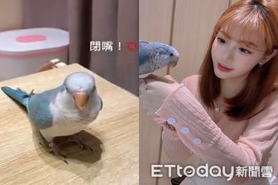 亂咬貓遭正妹媽訓斥:壞壞 和尚鸚鵡「2字回嗆」發音超標準