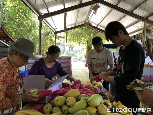 ▲善心人士與大坑休閒農場7日特別捐贈100箱芒果給菩提林教養院、心德慈化教養院，希望讓折翼天使享用最當季的香甜芒果，也力挺果農。（圖／記者林悅翻攝，下同）