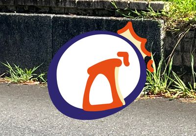 宜蘭金六結現「手腕粗眼鏡蛇」!媽帶孩驚悚巧遇 網爆雞皮:超大