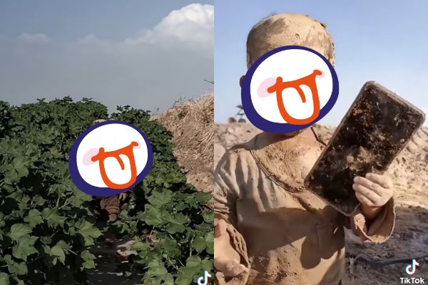 ▲▼男童滿身泥巴從草叢中走出，遠看就像一具活體兵馬俑。（圖／翻攝自Facebook／爆廢公社公開版）